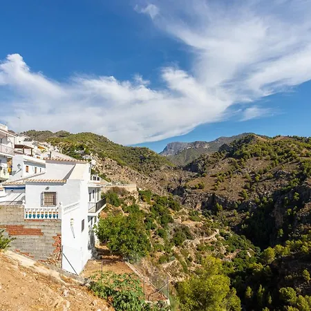 Apartment Alberti